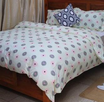Kivukoni Bed & Breakfast | NT Homes
