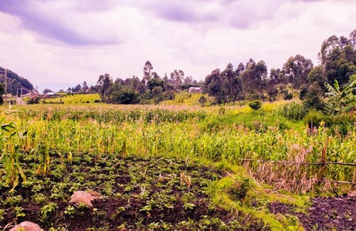 Western Region House | Ntebeko Homestay