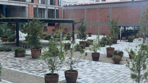Zapopan Apartment | Nuevo Departamento Céntrico con Alberca y Parking