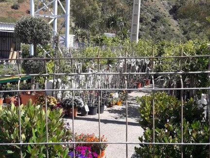 Ciudad Jardin House | Nuevo Montesol