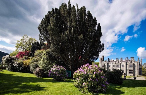 Newry Apartment | Number 9 Narrow Water Castle