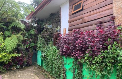 Nuwara Eliya House | Nuwara Eliya 2020 Wooden Cabin