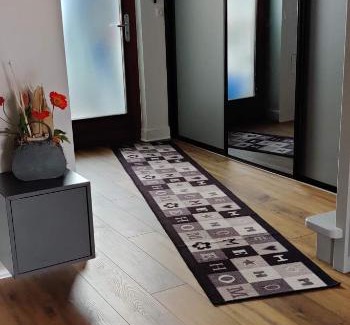 Obernai Apartment | O'Dragon
