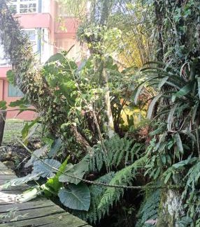 Bairro Lago Negro Apartment | O Fada da Floresta é seu refúgio p/até 4 pessoas