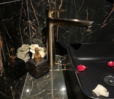 Aix-les-Bains Apartment | O2M Aix les bains