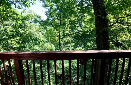 Eureka Springs Cabin | Oak Crest Cottages & Treehouses