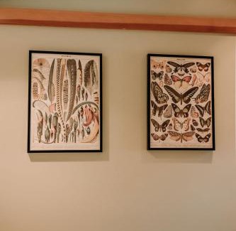 Mariposa House | Oak Meadows House