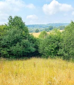Bridport Other | Oak Shepherds Hut