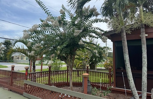 Fedhaven House | Oaks And Palm Resort Lake Wales, Florida by Lake Kissimmee