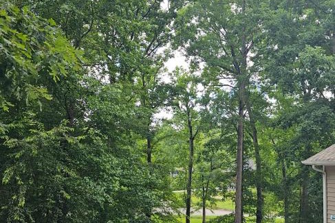 Decatur Apartment | Oakwood Oasis-Studio w Laundry & Kitchen