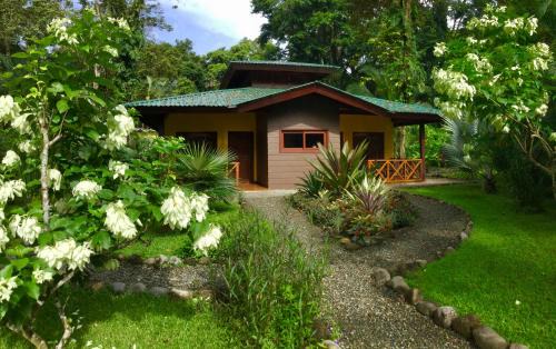 Cahuita Apartment | Oasi