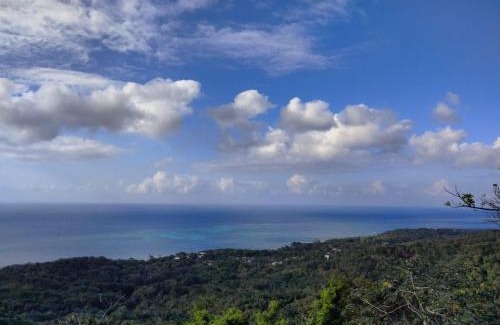 Roatan Apartment | Oasis by Tres Flores