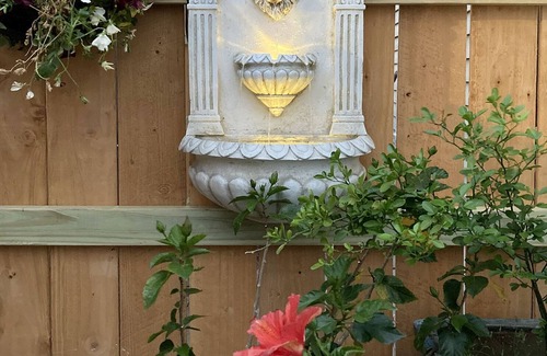 Broadmoor Apartment | Oasis in the Heart of New Orleans with private heated pool