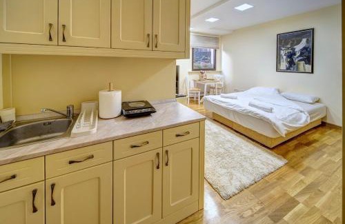 Zemun Apartment | Oasis Moonze