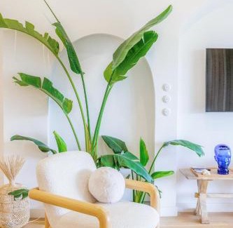 Porto de Mos Apartment | Ocean Studio by ENDLESS SUN I modern comfort, sea view, wi-fi, parking & rooftop pool