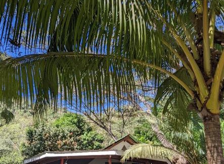 Cobano House | Ocean View
