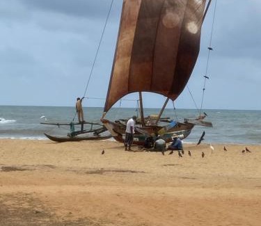 Negombo Apartment | Oceana Luxe