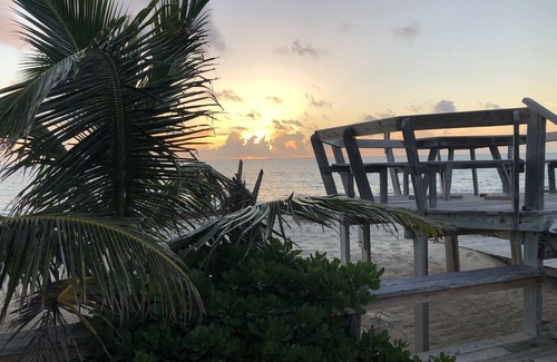 Man O War Cay Cottage | Oceanfront, Amazing Location! On Pristine White Sand Beach w/Coral Reef Offshore