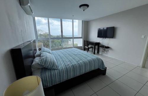 Playa Coronado Apartment | Oceanfront in Coronado Bay