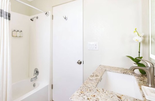 Laguna Beach Hotel | Oceanfront Stay with Direct Beach Access, Outdoor Swimming Pools & Laguna Views
