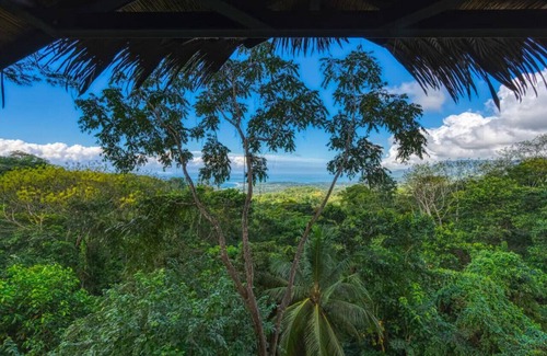 Ballena Cabin | Oceanview Jungle tree house