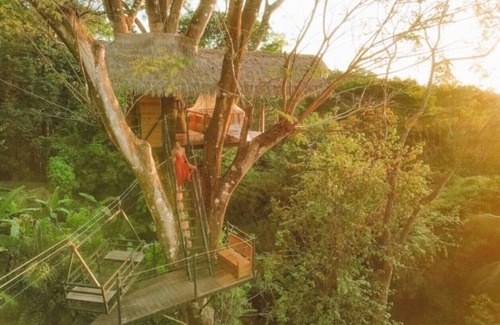 Ballena Cabin | Oceanview Jungle tree house