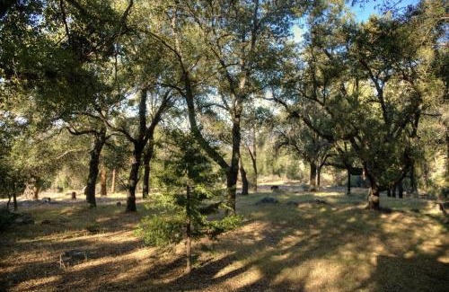 Pauma Valley Other | Off-Grid Wall Tent - Peaceful Mountain Retreat