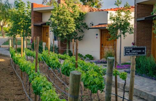 Valle de Guadalupe Hotel | OJO AZUL RESORT