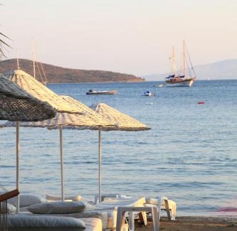 Bitez Hotel | Okaliptus Otel