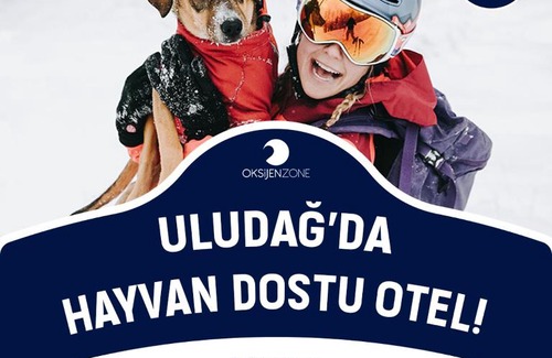 Osmangazi House | OKSIJEN ZONE PET HOTEL SPA Only Pet