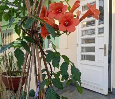 Binh Thanh House | Ola's Home