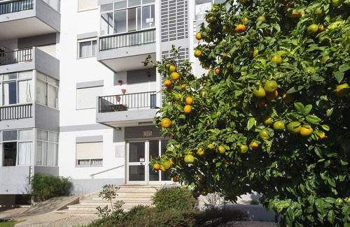 Cascais Apartment | Olala Yolo Apartment