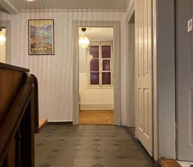Burgdorf Apartment | Old Charming Rustic Swiss Mansarde 60m2 Center Burgdorf Parking Small Bath