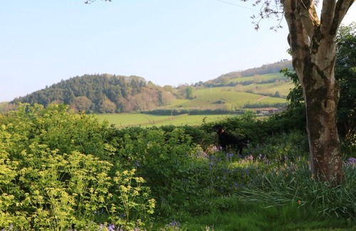 Alcombe Cottage | Old Coach House, Nr Minehead