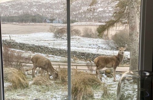 Lairg Cottage | OLD GRUMBEG COTTAGE, character holiday cottage in Bettyhill