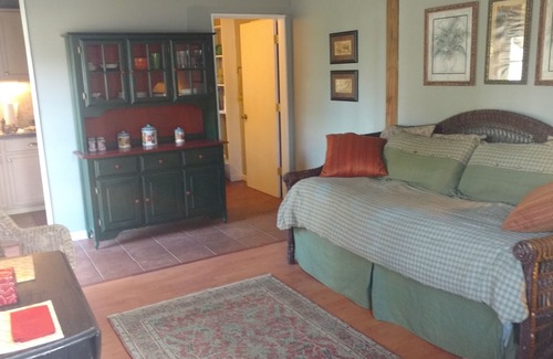 Myakka City Apartment | Old Myakka studio. Top location for birding and wildlife viewing!