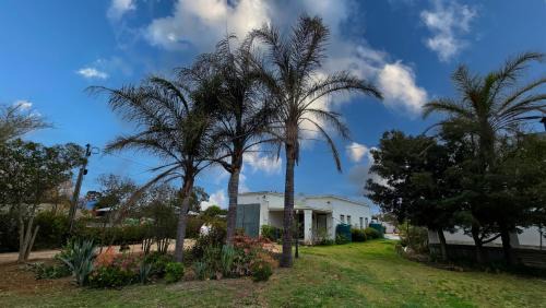 Ladismith Bed & Breakfast | Old Posthouse Guest Accommodation