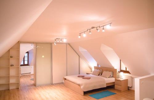 Trencin Apartment | Old Town Apartment