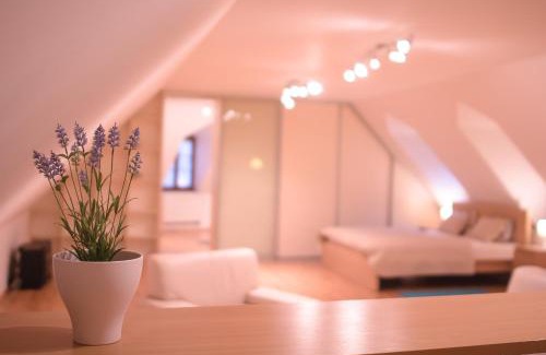 Trencin Apartment | Old Town Apartment