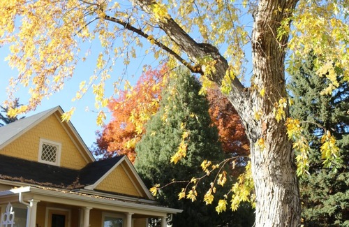 Longmont House | Old Town Longmont 3 Bedroom Home