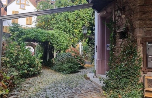 Schopfheim Apartment | Old town mill