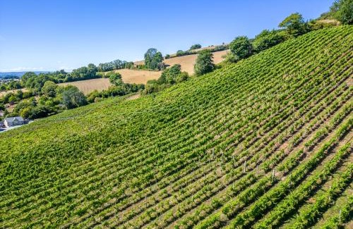Teignmouth Cabin | Old Walls Vineyard