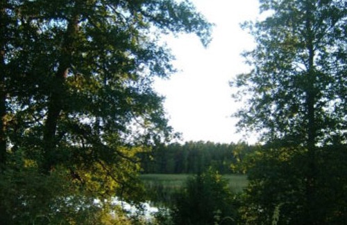Bergshamra Other | Older cottage by the lake with a boat in Roslagen