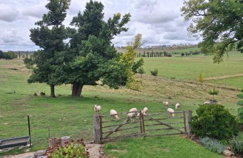 Walcha Bed & Breakfast | OLDGREENWELLS B&B