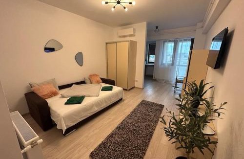 Iasi Apartment | Olive - a fresh beginning