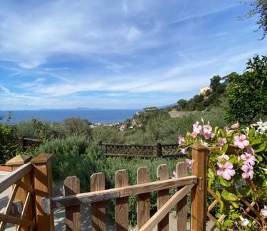 Sorrento House | Olive - Cottage moderno tra gli ulivi di Sorrento