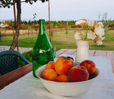 Mahala Apartment | Olive house (near the airport)