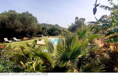 Funchal Cottage | Olive House