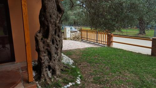 Ulcinj Cabin | Olive Paradise