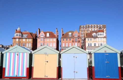 Hove Apartment | Olive Tree Apartment Hove